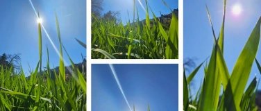 Event-Image for 'Hypnose Workshop: Krebspatient:Innen'