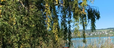 Event-Image for 'Kr&auml;uterspaziergang mit Chrissys Kr&auml;uter-Apotheke'