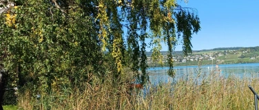 Event-Image for 'Kr&auml;uterspaziergang mit Chrissys Kr&auml;uter-Apotheke'