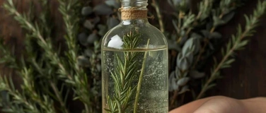 Event-Image for 'Workshop "Duftende Gr&uuml;ne Arzneien"'