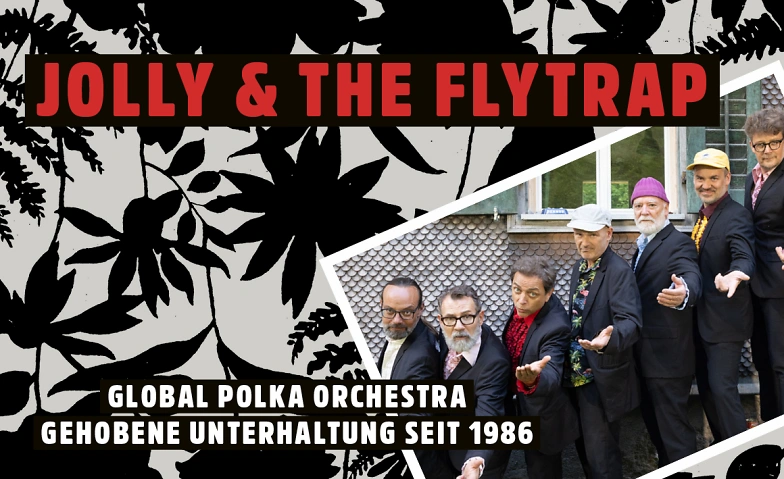 JOLLY & THE FLYTRAP