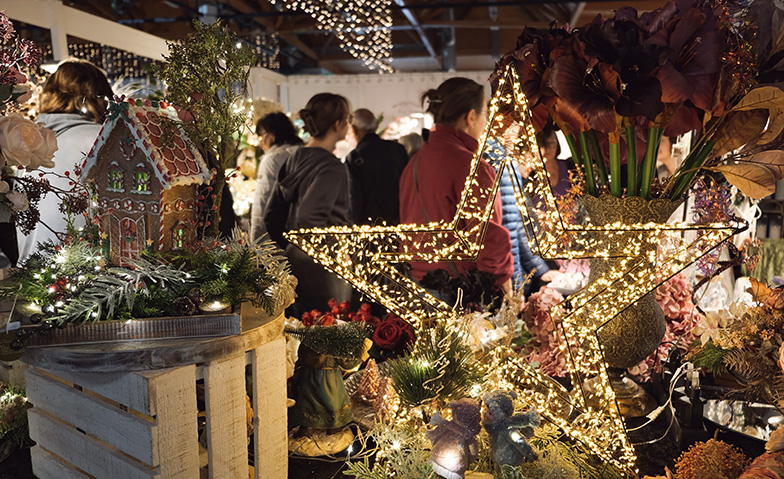Event-Image for 'Wintertr&auml;ume Magdeburg'