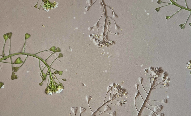 Event-Image for 'T&ouml;pferkurs: Blatt & Bl&uuml;te &ndash; Ein botanischer Keramikworkshop'