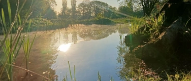 Event-Image for 'Qi Gong Sommerkurs 6 Harmonie'