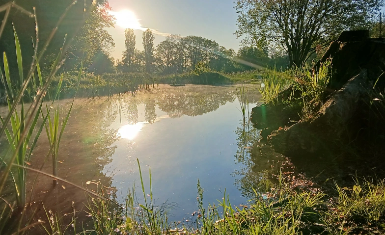 Event-Image for 'Qi Gong Sommerkurs 6 Harmonie'