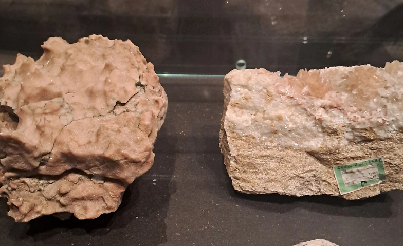 Museumstreff «Ein Stein im Brett»