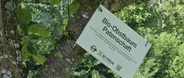 Event-Image for 'Obstdegustation direkt vom Baum'