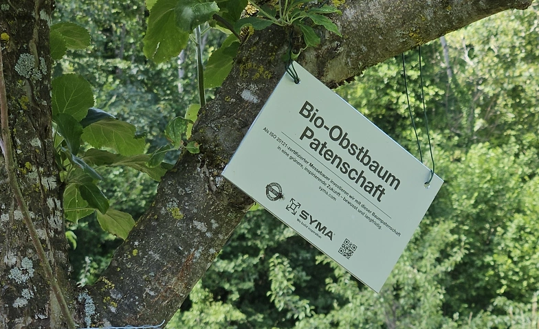 Obstdegustation direkt vom Baum