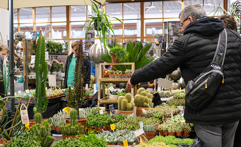 Event-Image for 'Gartentr&auml;ume Magdeburg'