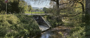 Event-Image for 'Wasser und Stadt'