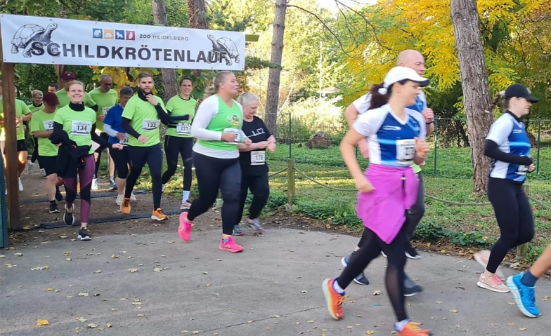 Spendenlauf für die Schildkröten