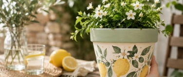 Event-Image for 'Paint Your Own Flower Pot'