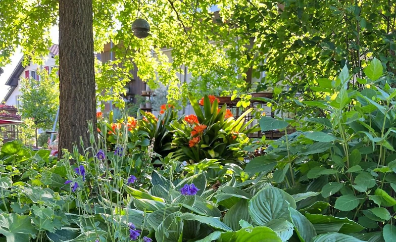 Event-Image for 'Offener Garten in Fulenbach'