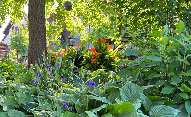 Offener Garten in Fulenbach Tickets