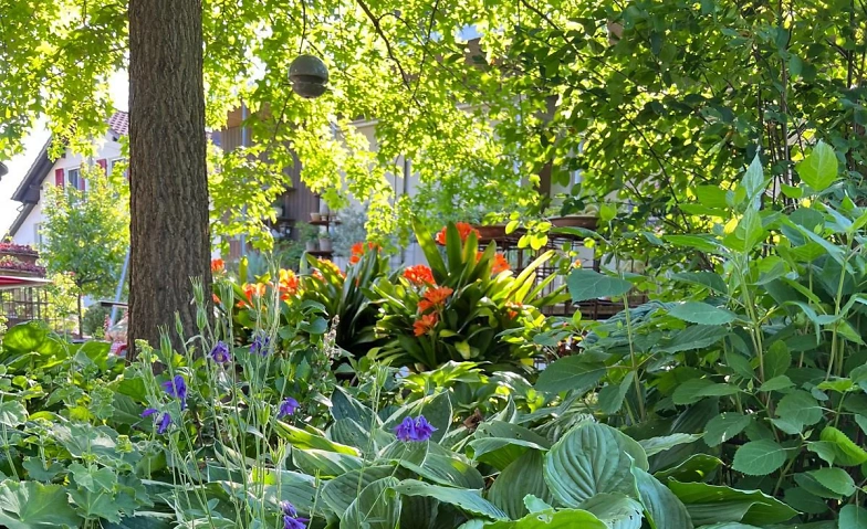Offener Garten in Fulenbach Tickets