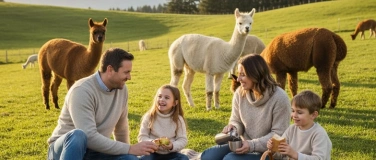 Event-Image for 'Picknick inmitten Alpakas - Theilingen'