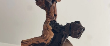 Event-Image for 'NATURENA: Skulpturen aus Rebholz'