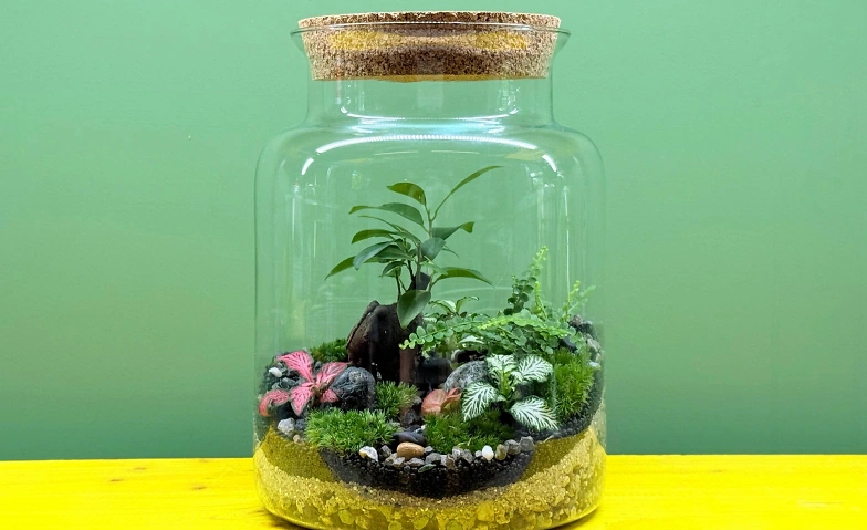 NATURENA: Mikro-Garten im Glas