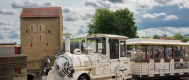 Event-Image for 'Aventicum en petit train'