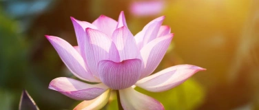 Event-Image for 'Atem Meditation - 6 Wochen Kurs'