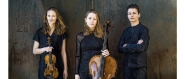 Event-Image for 'Kammermusik Luzern: Amelio Trio'