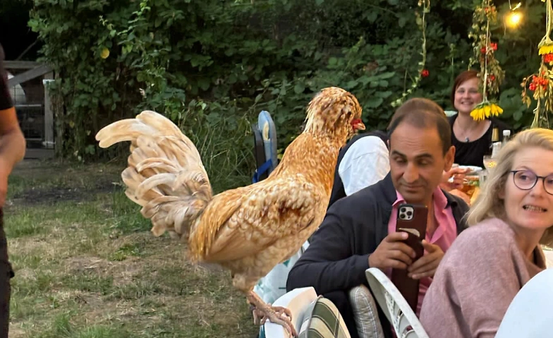 Event-Image for 'FARM TO TABLE HOFDINNER im Gew&auml;chshaus'