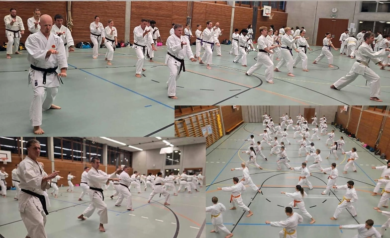 Event-Image for 'Probetraining  Karate Jugendliche/Erwachsene Aarau'