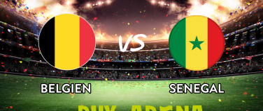 Event-Image for 'Public Viewing Rhyarena - Belgien - Senegal -1/16 Finale'