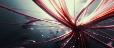 Event-Image for 'Pollen    StrukturStruktur'