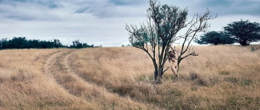 Event-Image for 'Vernissage "Naked Nature" von Miss Unverbl&uuml;mt'