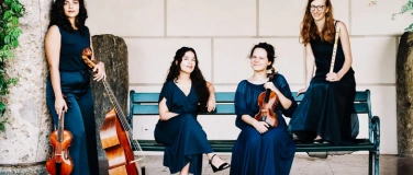 Event-Image for 'Barocktage Solothurn - Ensemble Tra Noi: Im Kreise Ottobonis'
