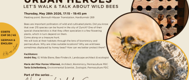 Event-Image for 'Urbane Helden: SpazierGang auf den Spuren Von WildBienen'
