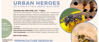 Event-Image for 'Urbane Helden: SpazierGang auf den Spuren Von WildBienen'