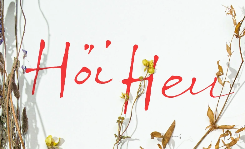Event-Image for 'Theater - &laquo;Es L&auml;be lang&raquo;'