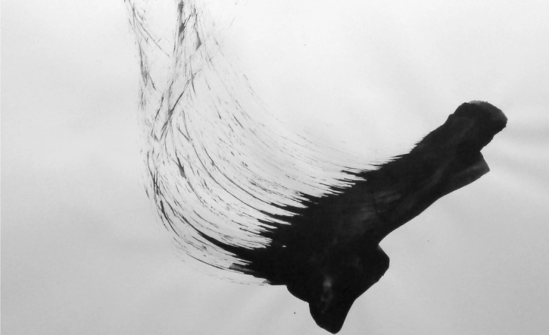 Event-Image for 'Ausstellung - Sven B&ouml;siger'