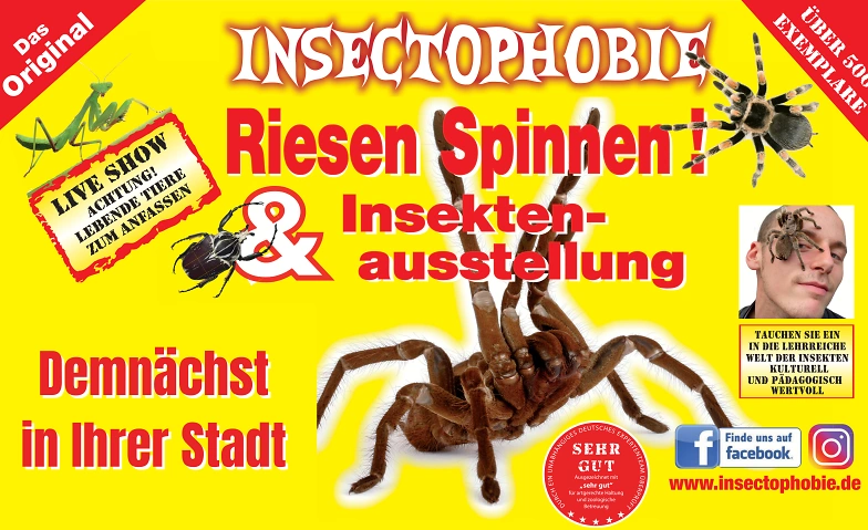 Event-Image for 'Insectophobie Riesenspinnen & Insekten Ausstellung'