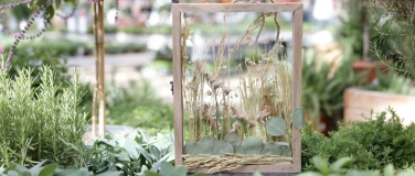 Event-Image for 'Kreative Kunst mit Trockenblumen'