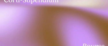 Event-Image for 'Vernissage - Aeschlimann Corti-Stipendium 2026'