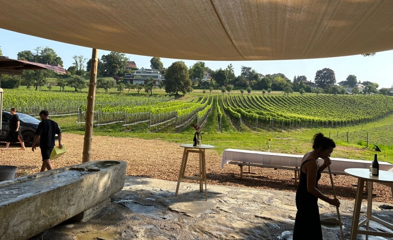 Degustation Blum Weine Tickets