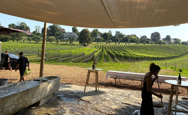 Event-Image for 'Degustation Blum Weine'