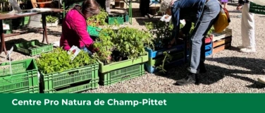 Event-Image for 'March&eacute; et troc aux plantons'