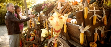 Event-Image for 'Altweibersommer'