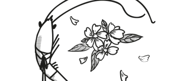 Event-Image for 'Angel&rsquo;s Egg'