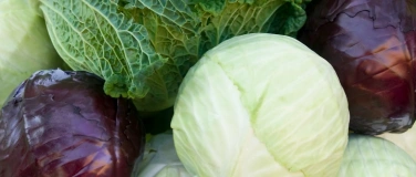 Event-Image for 'Kreative Kohlk&ouml;pfe: Kimchi-Kunst mit Vielfalt'