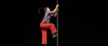 Event-Image for 'Chinese Pole Beginner Workshop'