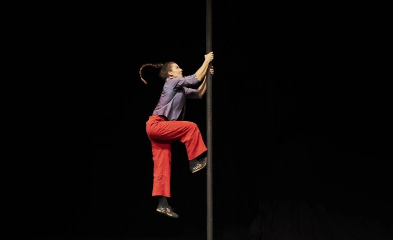 Chinese Pole Beginner Workshop