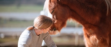 Event-Image for 'Pferd im Fokus - die Lernveranstaltung'