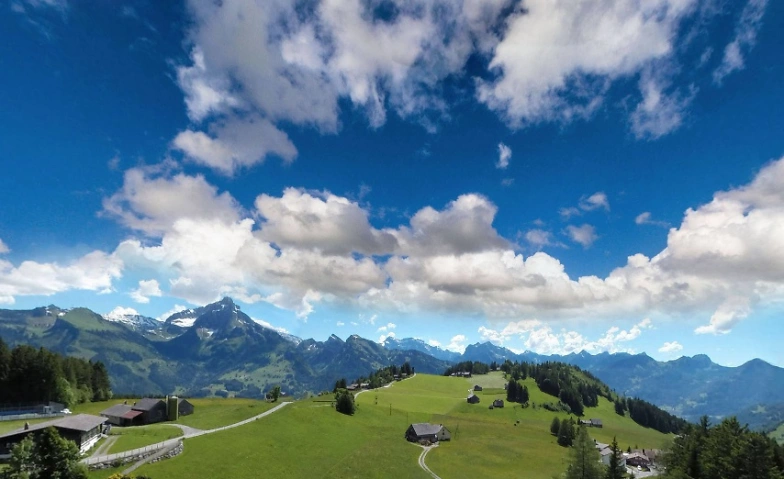 Event-Image for 'Vogel-Spaziergang mit Urs Heinz Aerni in den Bergen'