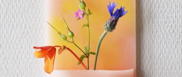 Event-Image for 'Bienenwachs Designworkshop'