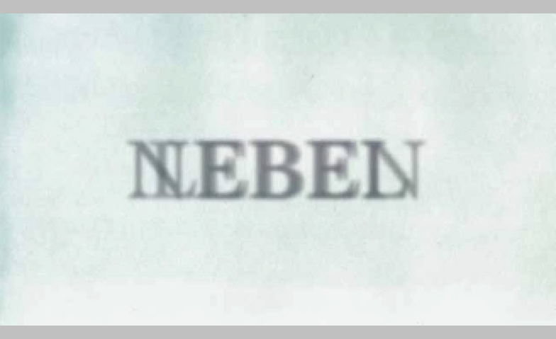 Auf Augenhöhe